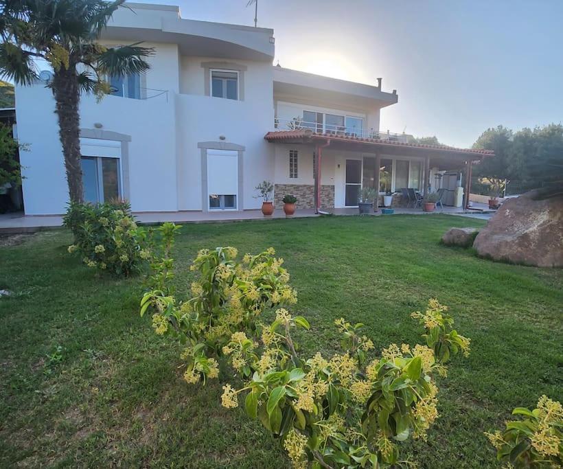 Lux House With Garden Villa Kampos  Luaran gambar